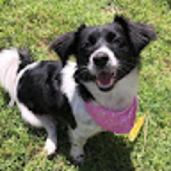 Meet your Posher, Lizeth - Picture 1 of 1